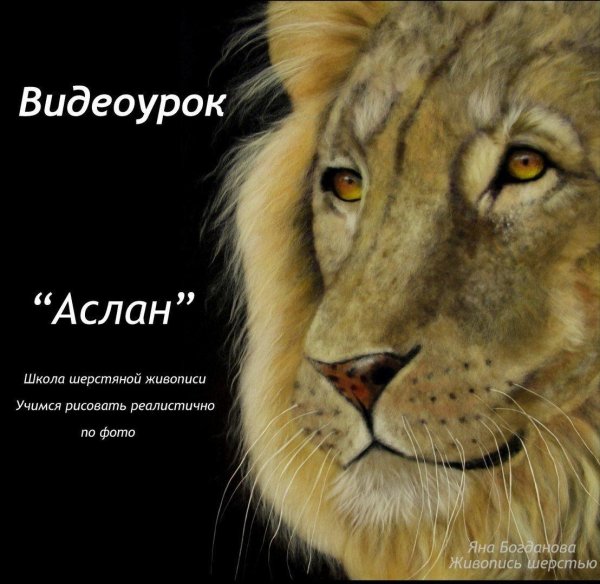 голова льва