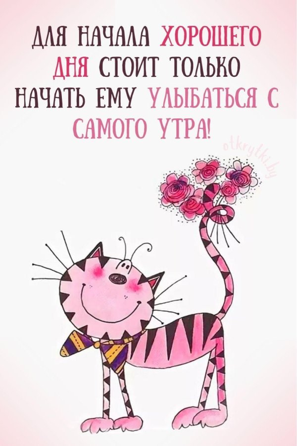 открытка прикольная