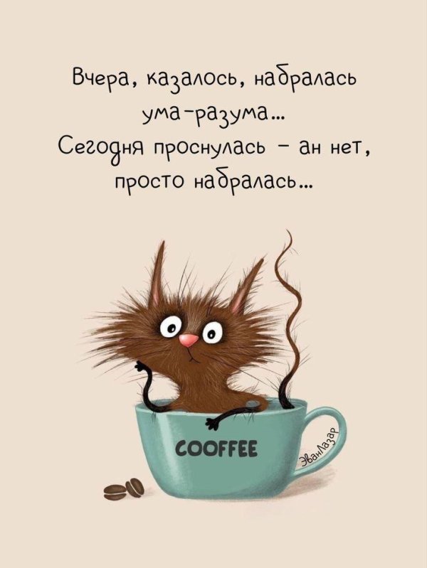 марина верола художник