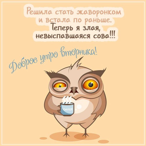 сова сонная