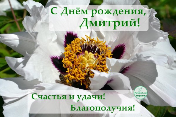поздравить с днем рождения дмитрия