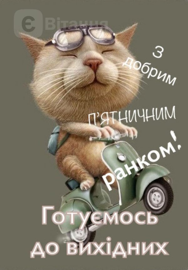 утро пятницы доброе