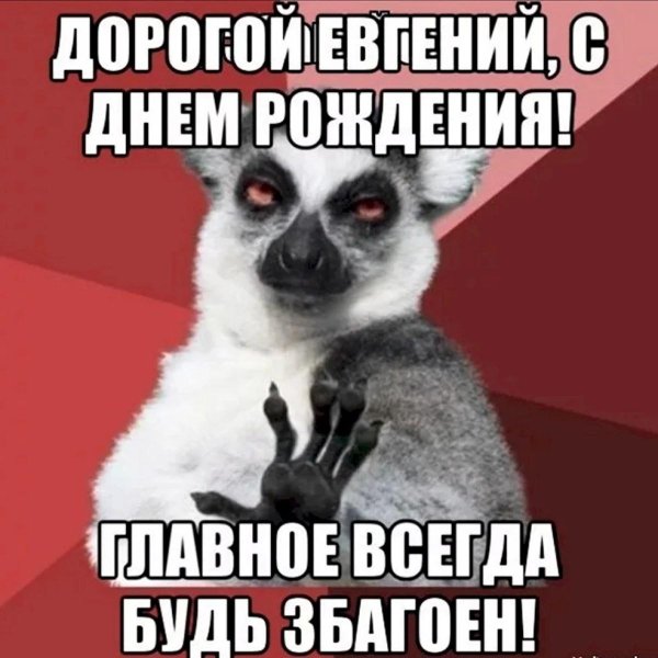 лемур узбагойся