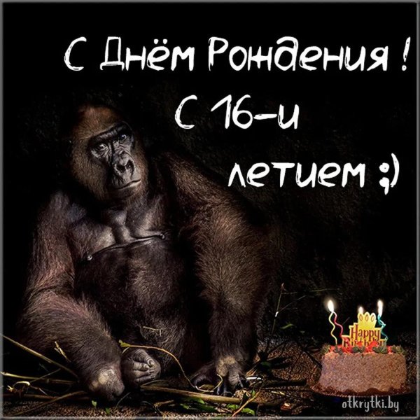 на день рождения поздравления