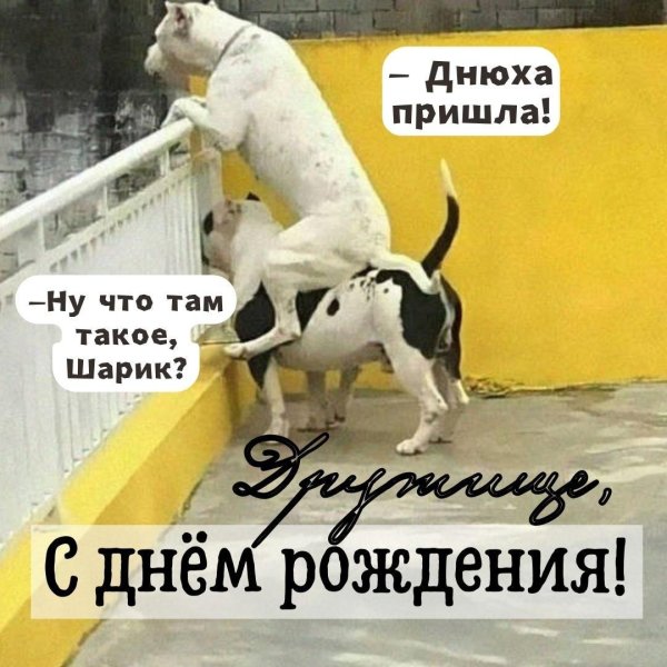 день рождения открытки прикольные