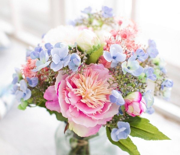 пион рейне гортензия