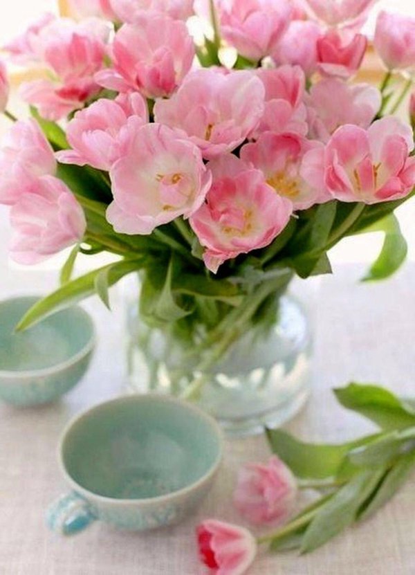 розовые тюльпаны