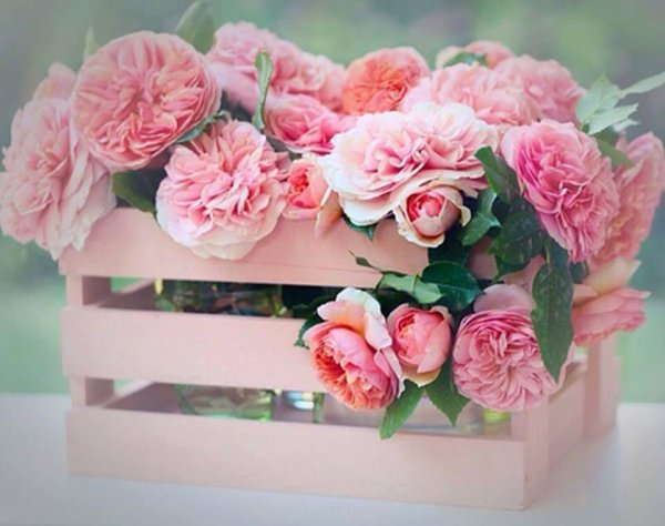 поздравления с днем рождения нежные и необычные