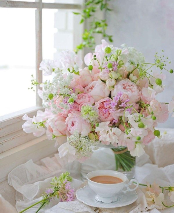 нежный цветок