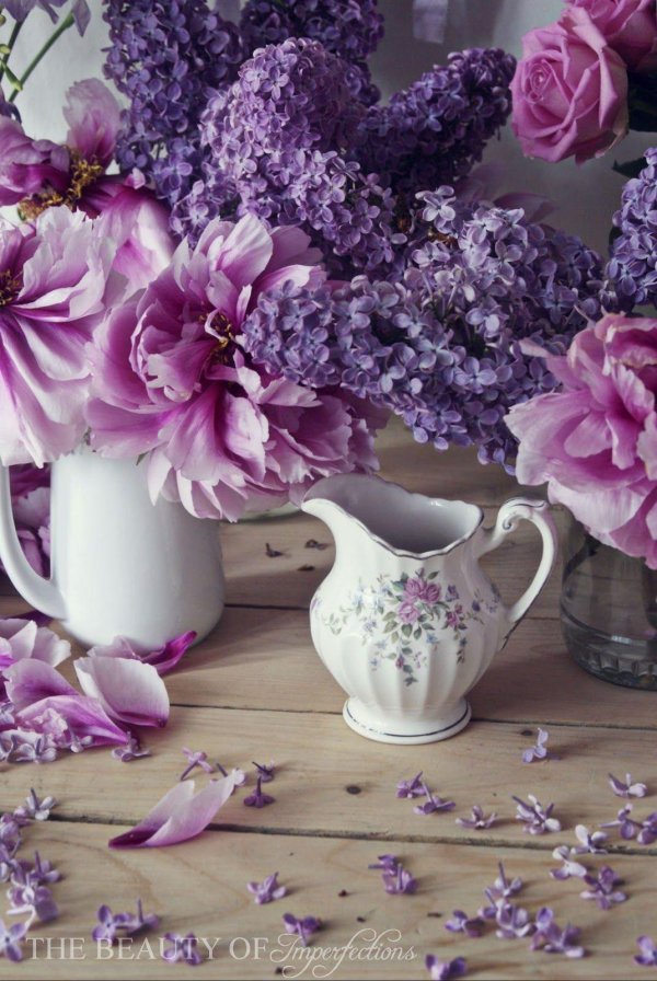 сирень цветки