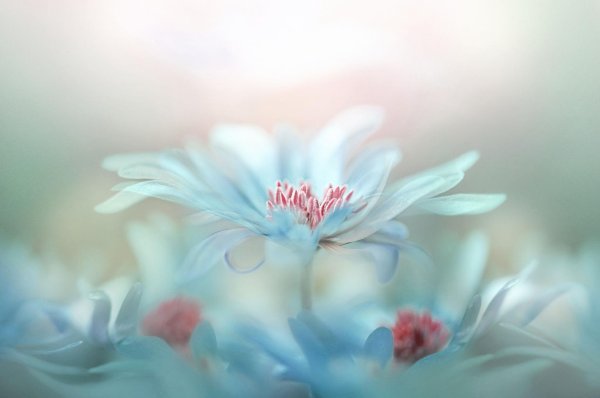 пожелания нежности