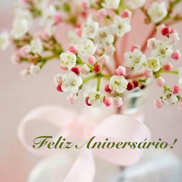 снежноягодник мазер оф перл