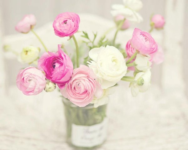 ранункулюс уайт