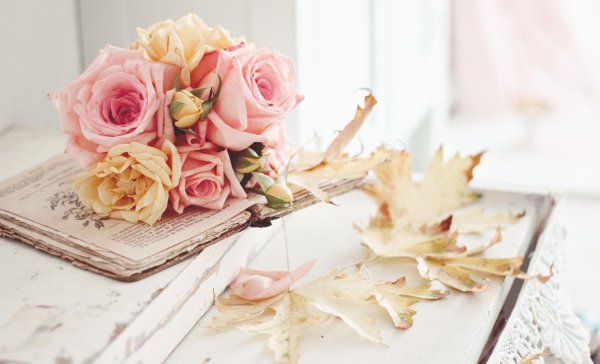 роза на книге