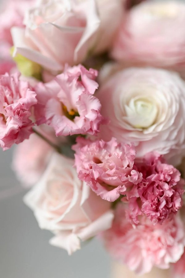 ранункулюс цветок