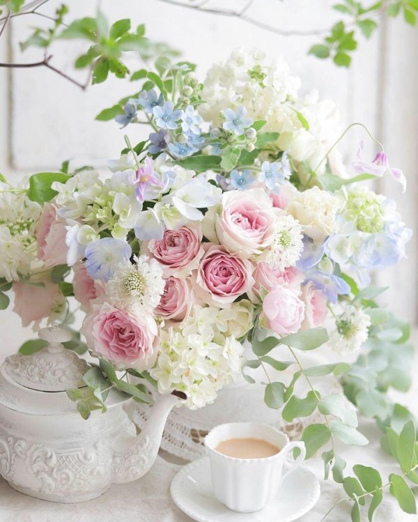 нежный цветок