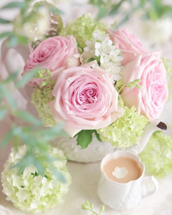 утренние цветы