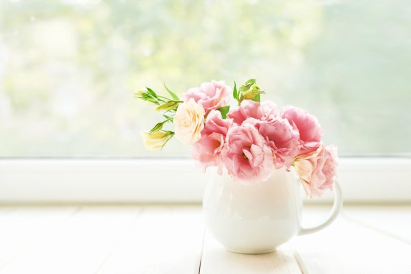 цветок нежный