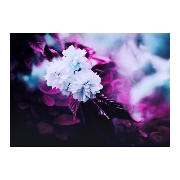 цветок красивый