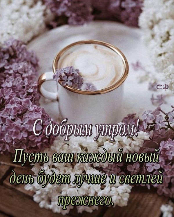 нежного утра