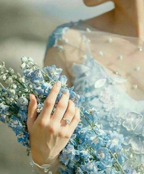 все мы чьи то незабудки