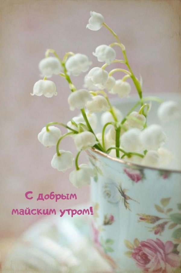 доброе утро ландыши
