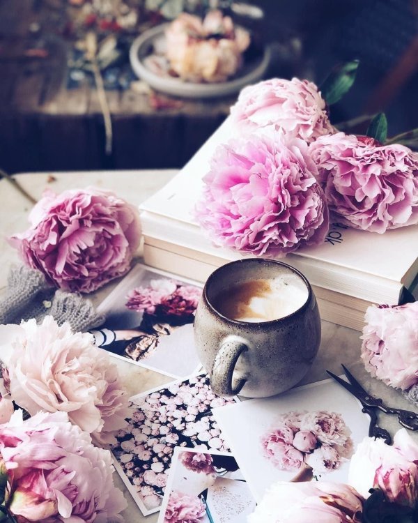 доброго утра стильные