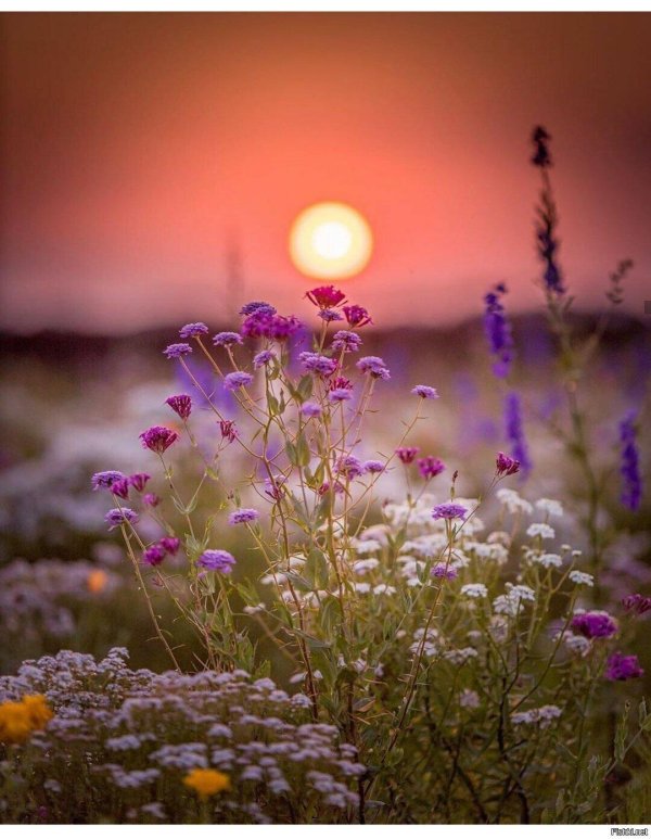 июльский закат