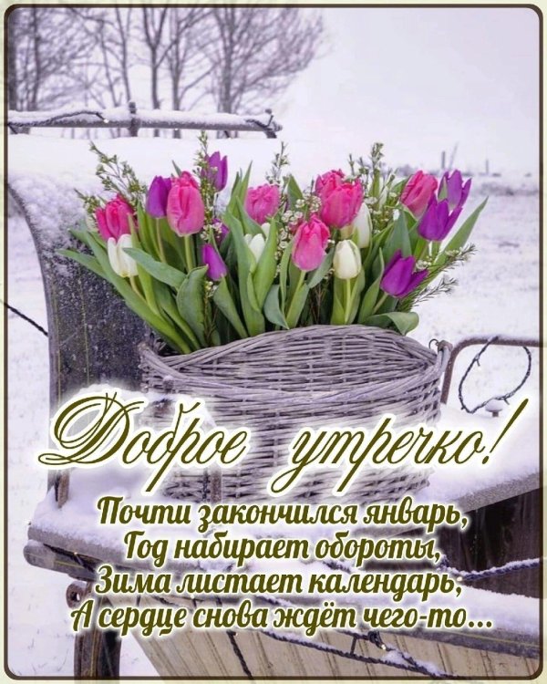 чудесного весеннего дня