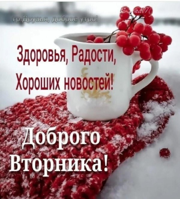 открытка доброе утро вторника зимняя