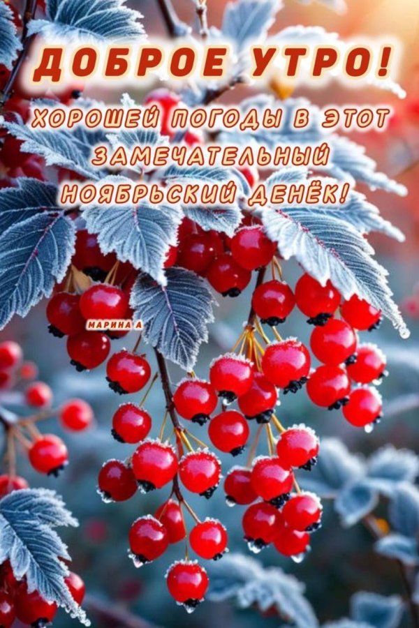 с добрым утром ноябре