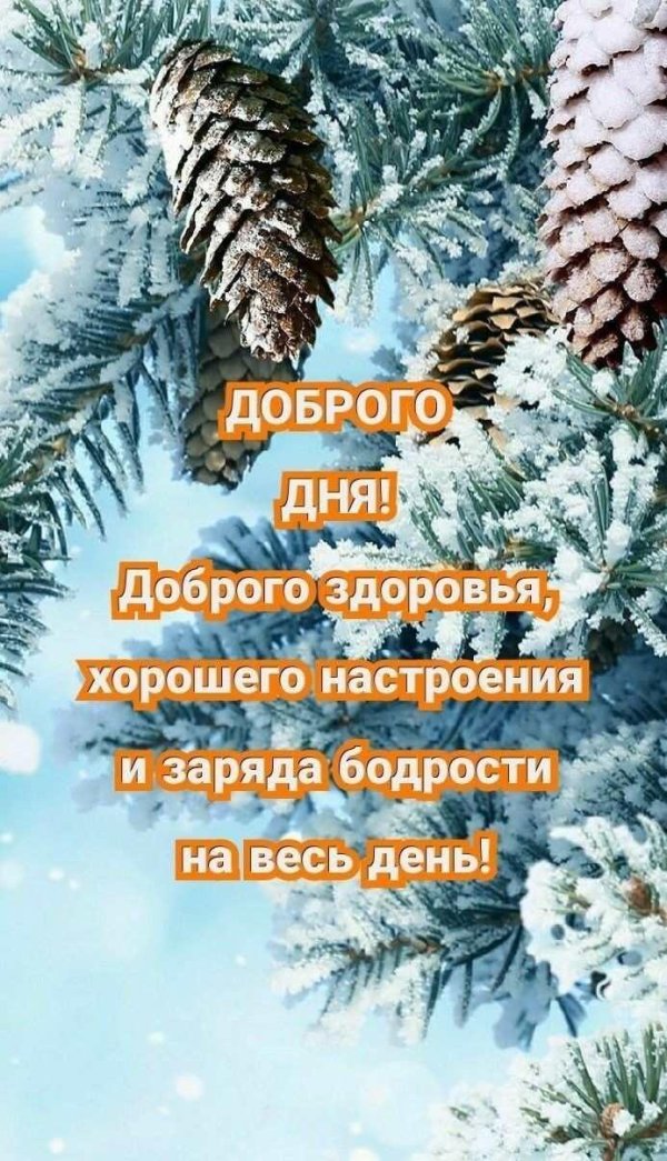 доброго зимнего дня