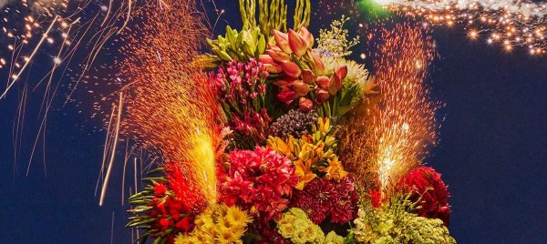 цветок папоротника фейерверк