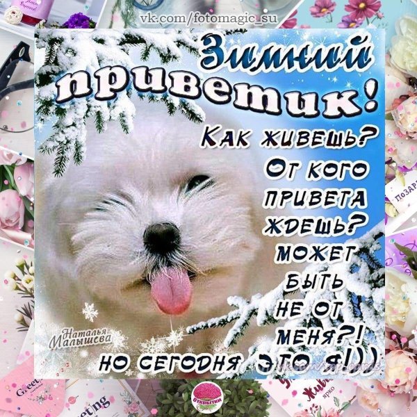зимний приветик