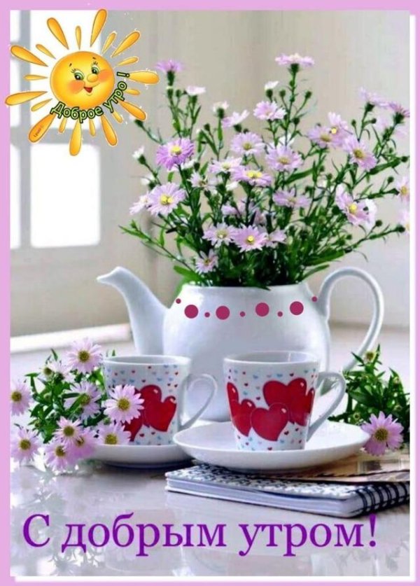 с добрым утром цветы красивые