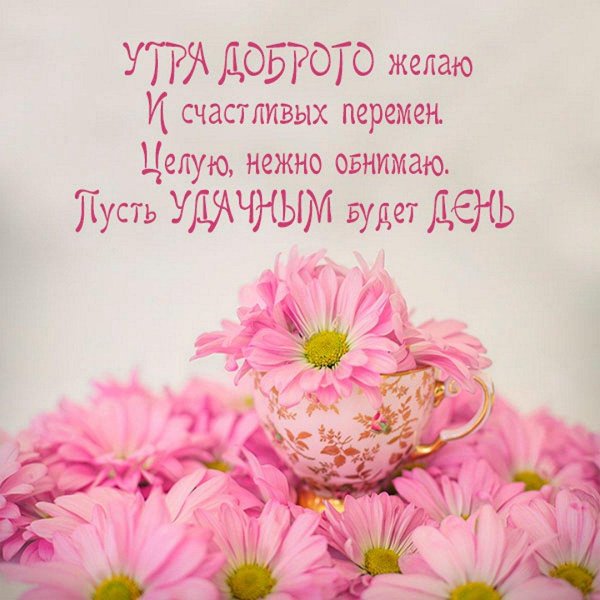 цветы в чашке