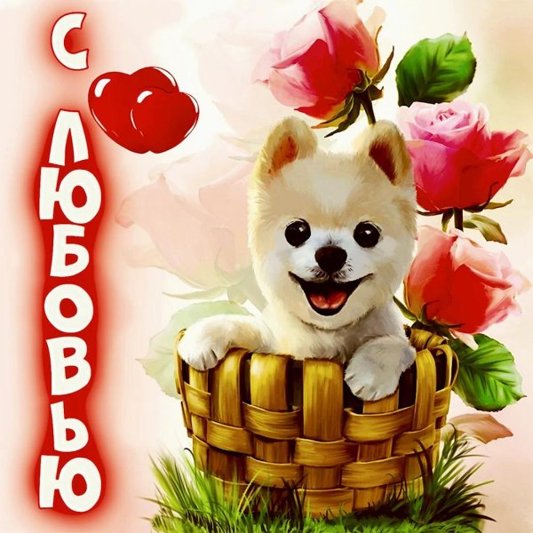 просто красивые открытки для настроения