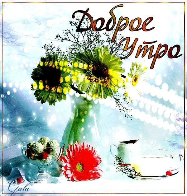 поздравление с добрым летним утром