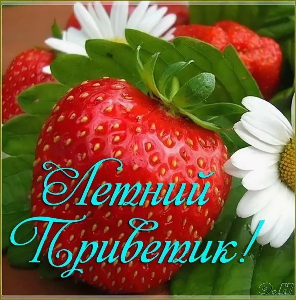 летний приветик