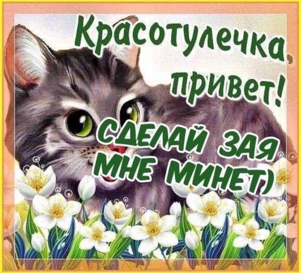 приветик красавица