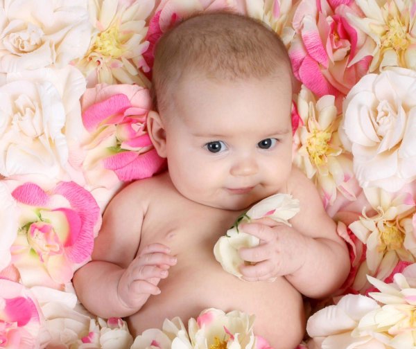 красивые младенцы