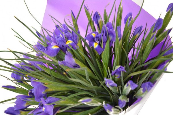монобукет  ирисы