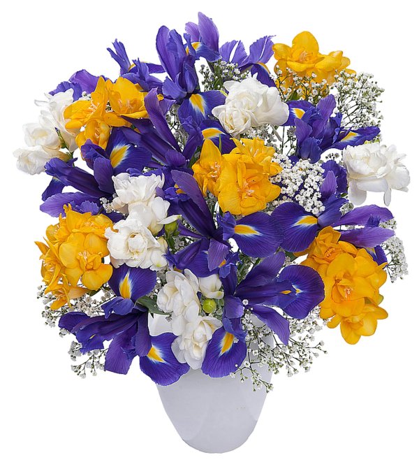 Ирисы с днем рождения