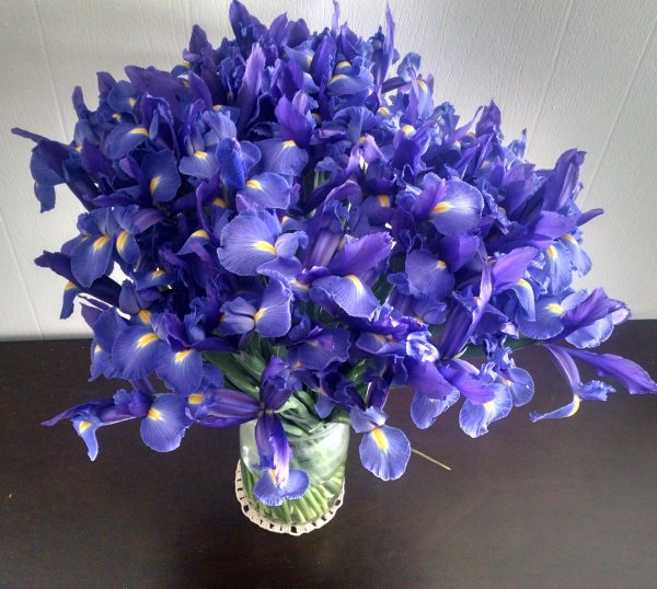 монобукет  ирисы