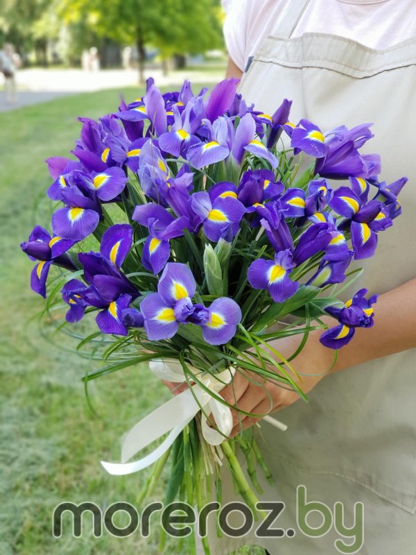 монобукет  ирисы