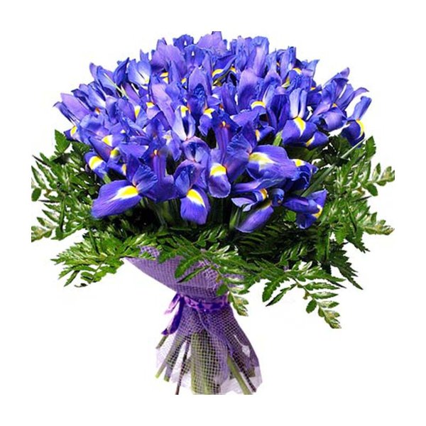 букет ирис
