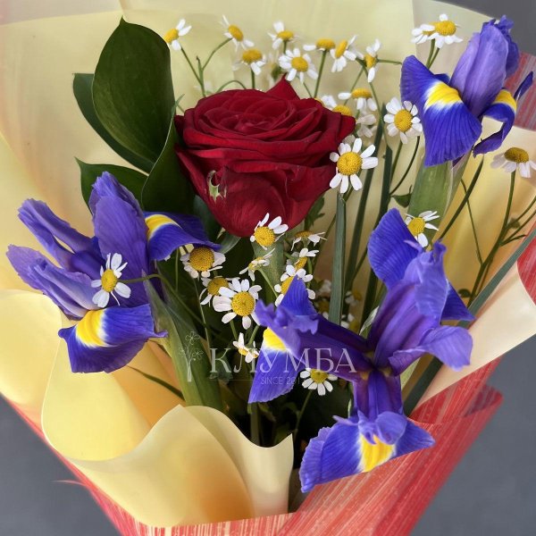 бюджетные букеты с ирисом