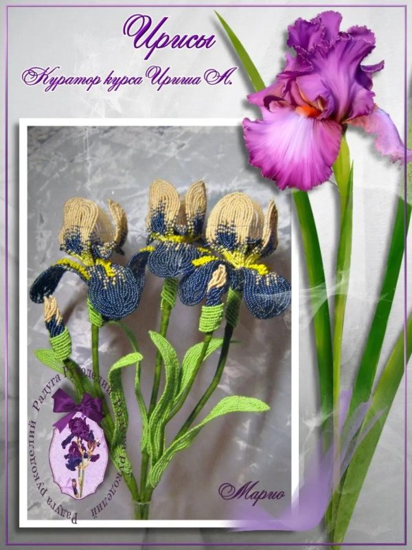 бисер ирис