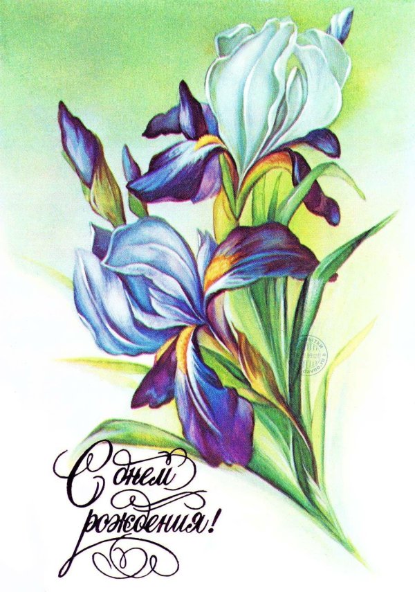 ирисы открытка