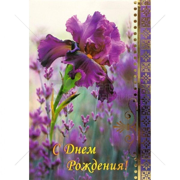 открытка с ирисами